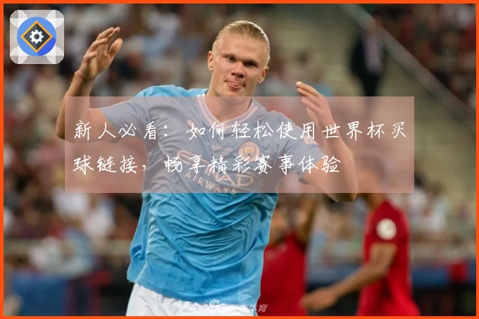新人必看：如何轻松使用世界杯买球链接，畅享精彩赛事体验