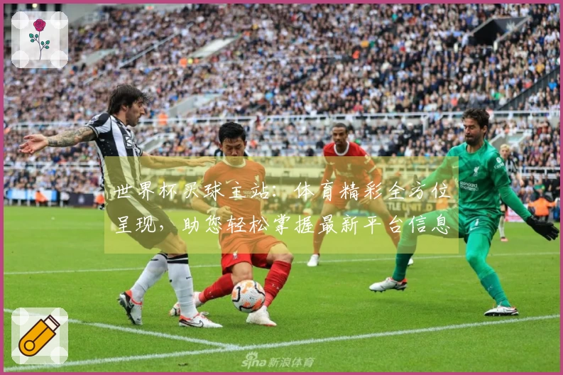 世界杯买球主站：体育精彩全方位呈现，助您轻松掌握最新平台信息与使用指南