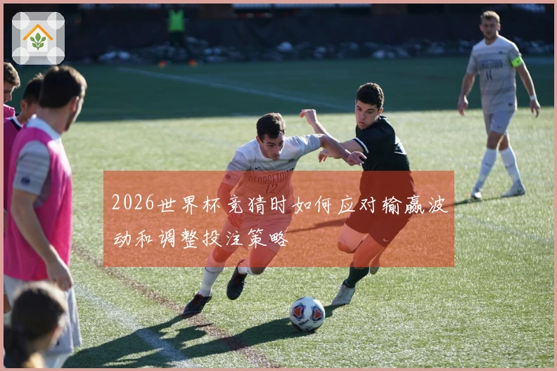2026世界杯竞猜时如何应对输赢波动和调整投注策略