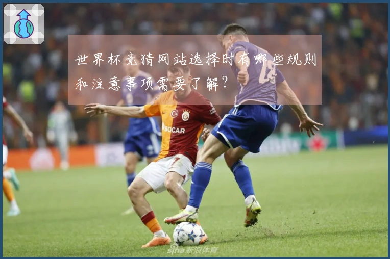 世界杯竞猜网站选择时有哪些规则和注意事项需要了解？
