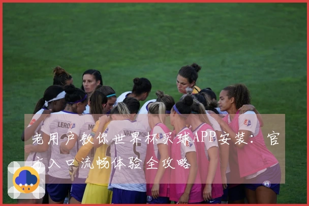 老用户教你世界杯买球APP安装：官方入口流畅体验全攻略