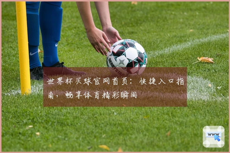 世界杯买球官网首页：快捷入口指南，畅享体育精彩瞬间